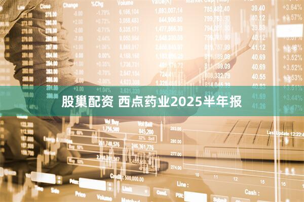 股巢配资 西点药业2025半年报
