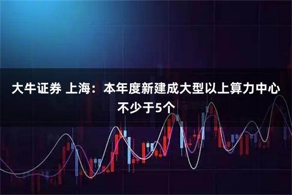 大牛证券 上海:本年度新建成大型以上算力中心不少于5个