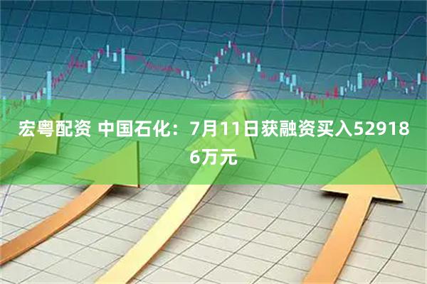 宏粤配资 中国石化：7月11日获融资买入529186万元